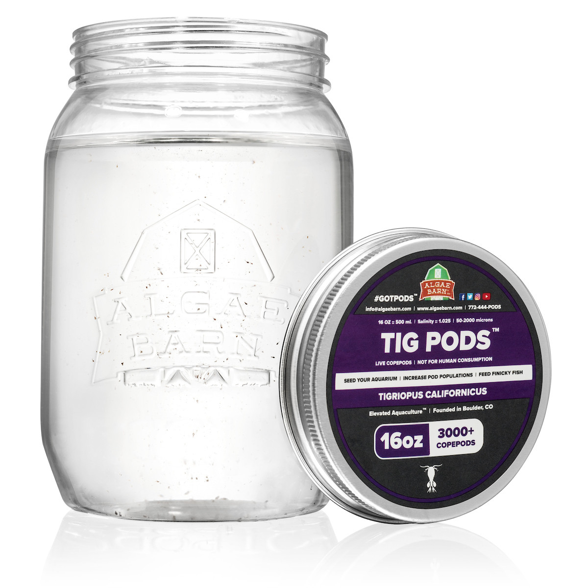 Pods Tig 12000+ (64 oz) Live Copepods (Tigriopus Californicus