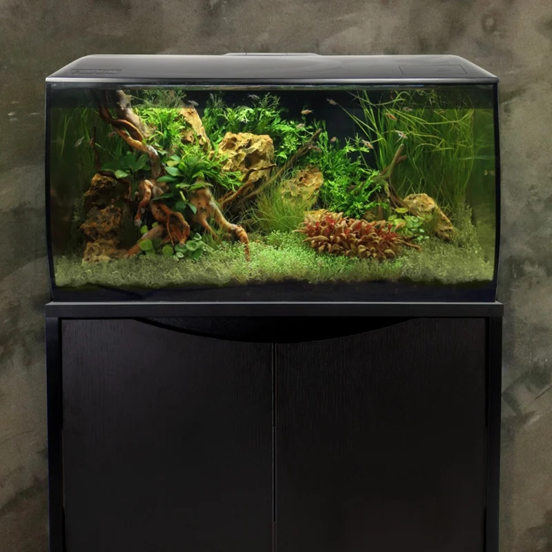 FLEX Freshwater Aquarium Kit, 123 L (32.5 US Gal), Black - Fluval