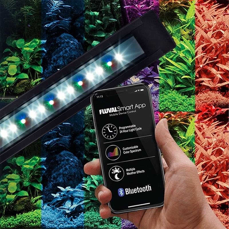 FLEX Freshwater Aquarium Kit, 123 L (32.5 US Gal), Black - Fluval