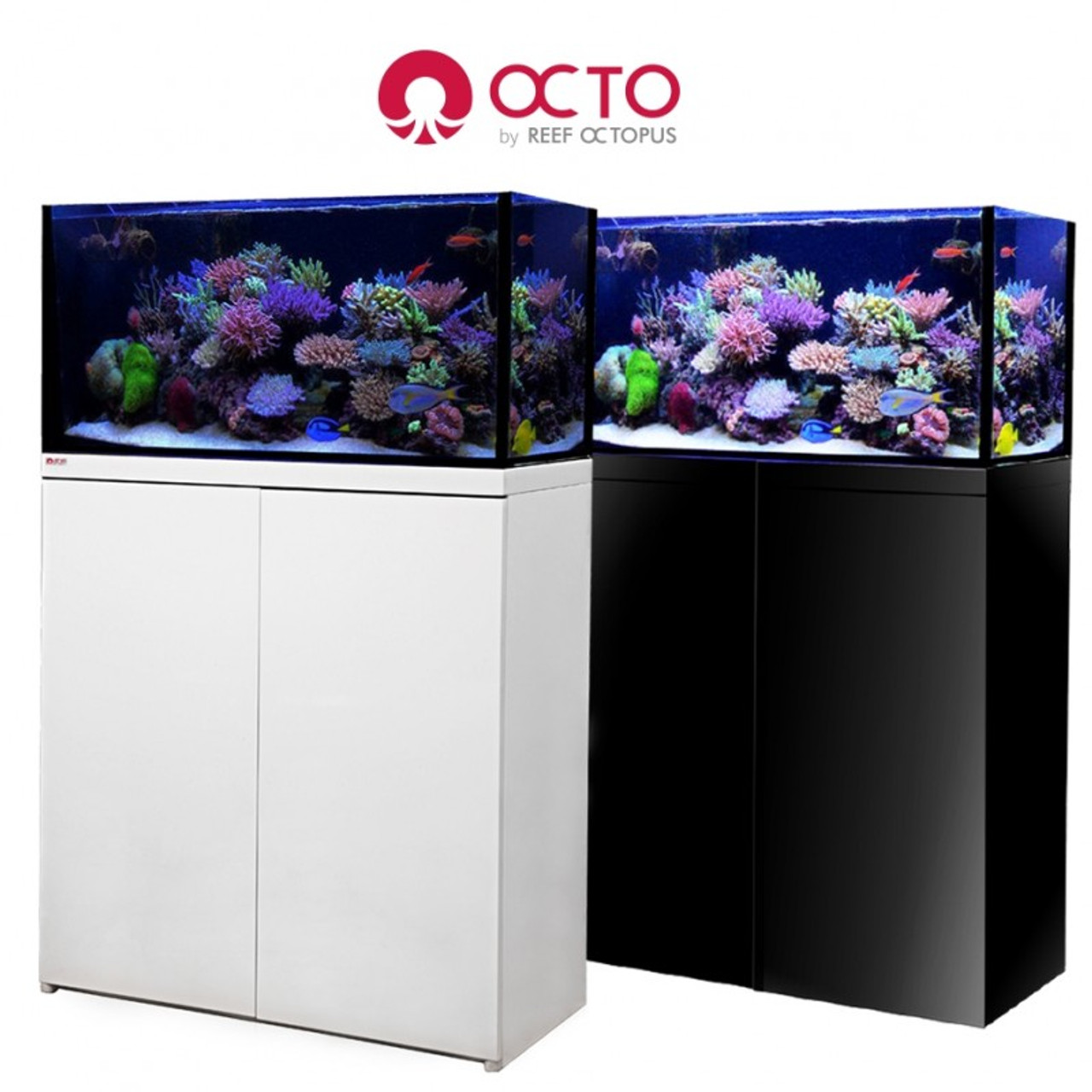 Innovative Marine Nuvo Fusion 50 Gallon Lagoon Tank & High Gloss WHITE  Stand - Includes Freight