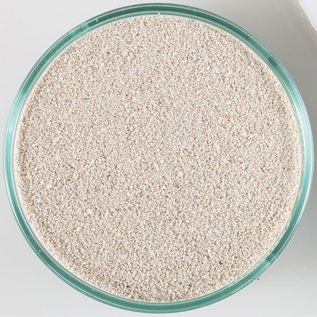 LIVE Sea Salt 200g×3袋 DELPHIS 61gstSHEWpL._UF350,350_QL50_.jpg