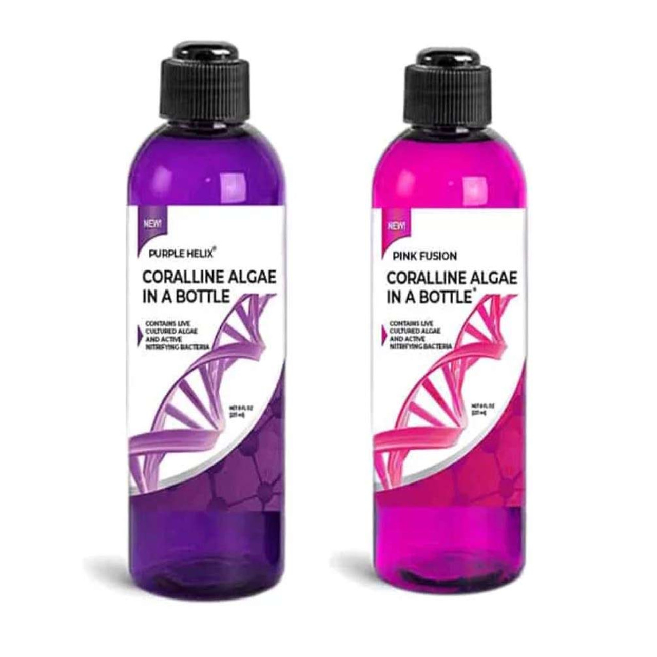  Coralline Algae in a Bottle + Nitrifying Bacteria for  Saltwater Aquariums, Pink Fusion Strain : Pet Supplies