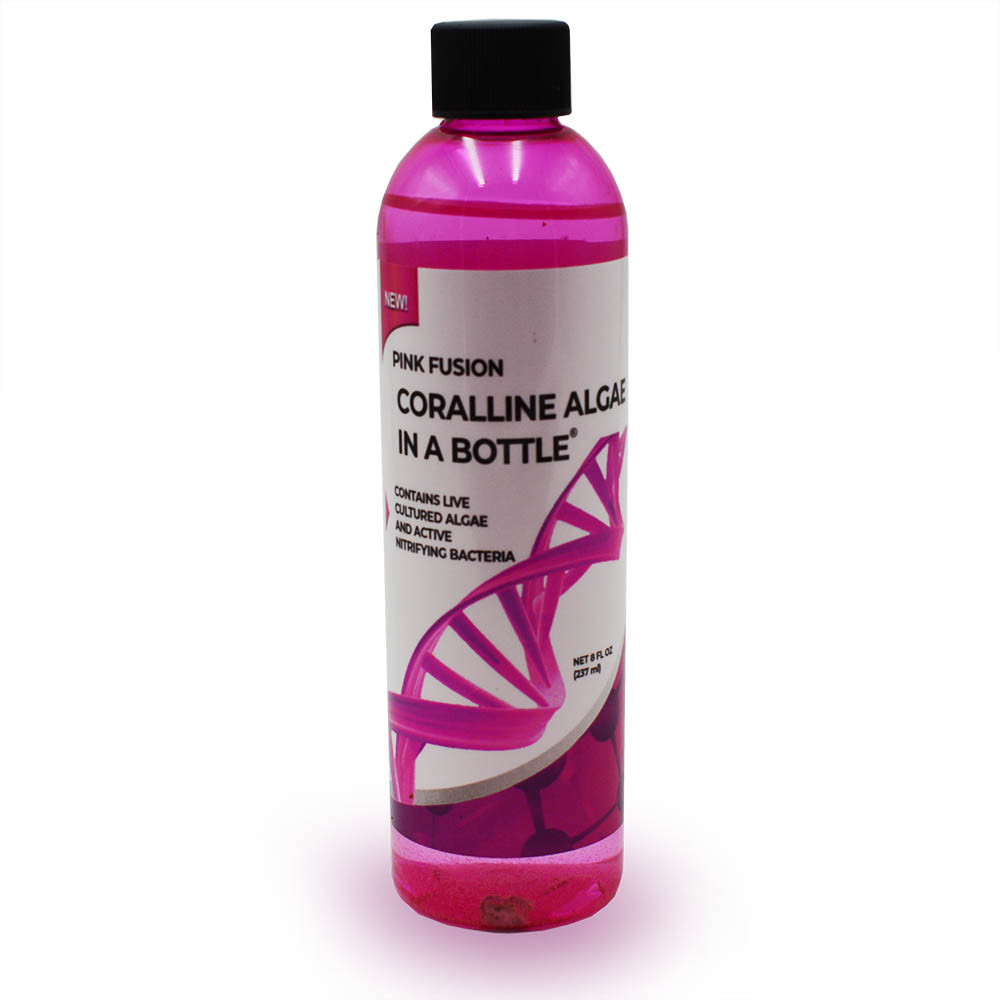 Pink Fusion & Purple Helix Combo Kit - Coralline Algae in a Bottle