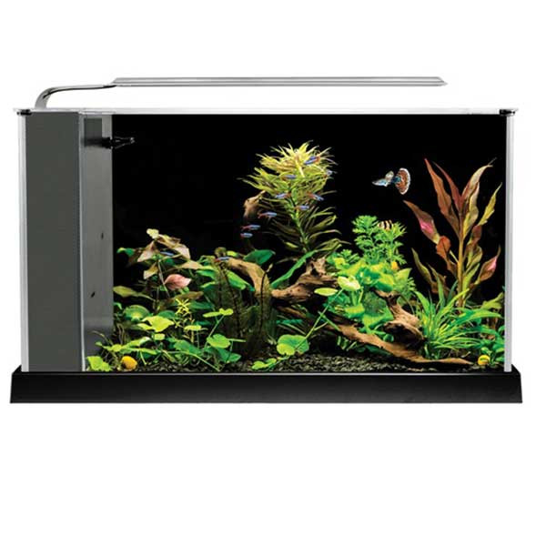 Spec 5 Gallon Aquarium Kit Black - Fluval - SaltwaterAquarium.com Spec 5 Gallon Aquarium Kit Black - Fluval - SaltwaterAquarium.com