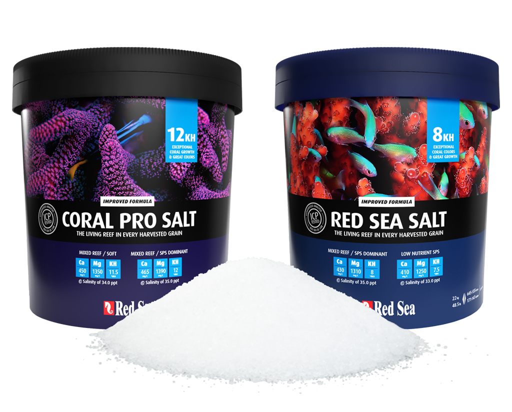 Sea Coral Salt Red Pro - Mix – Bucket Gallons) 0 salt 22kg (Makes