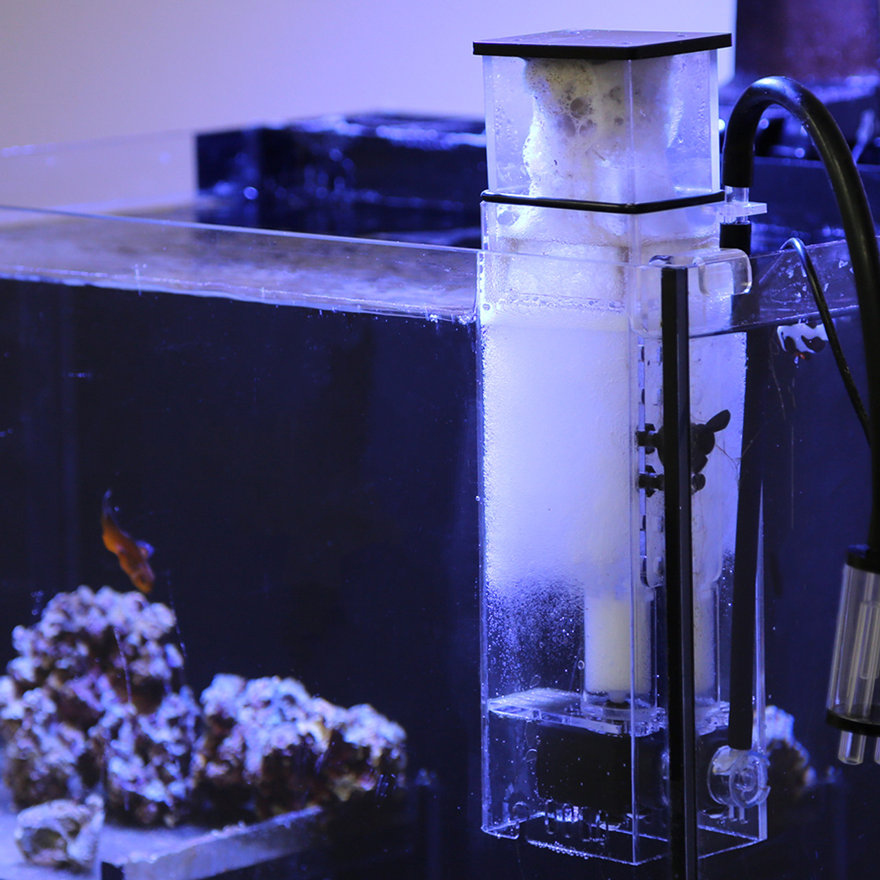 BioSkim DC Nano AIO Protein Skimmer - Innovative Marine 