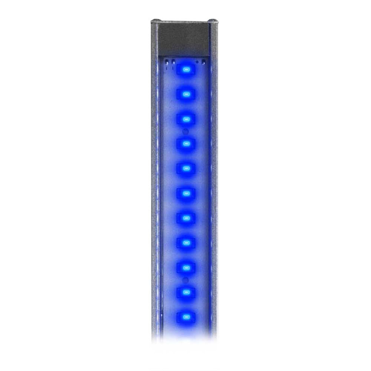 48" Actinic Blue XHO Output LED - Reef Brite - SaltwaterAquarium.com
