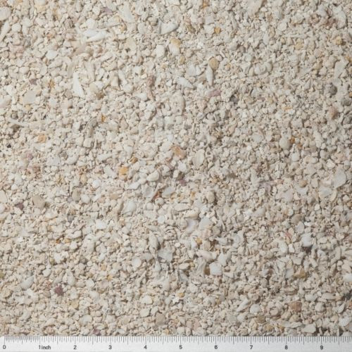 Arag-Alive Special Grade Reef Sand (10 lb) 1.0 - 2.0 mm - Caribsea