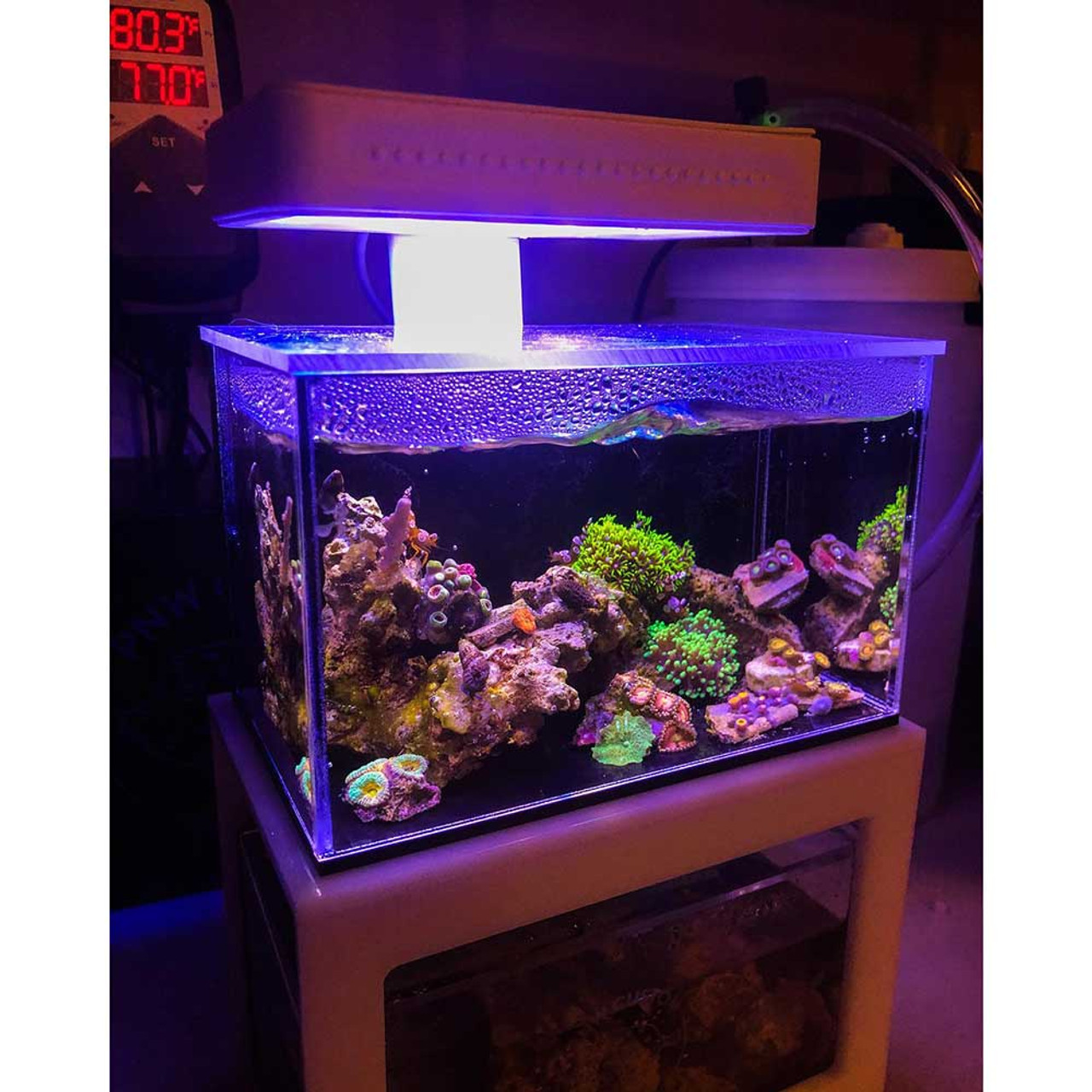 Micro Reef Ready Tank (0.3 Gallon) Standard (BLACK) - PNW Customs