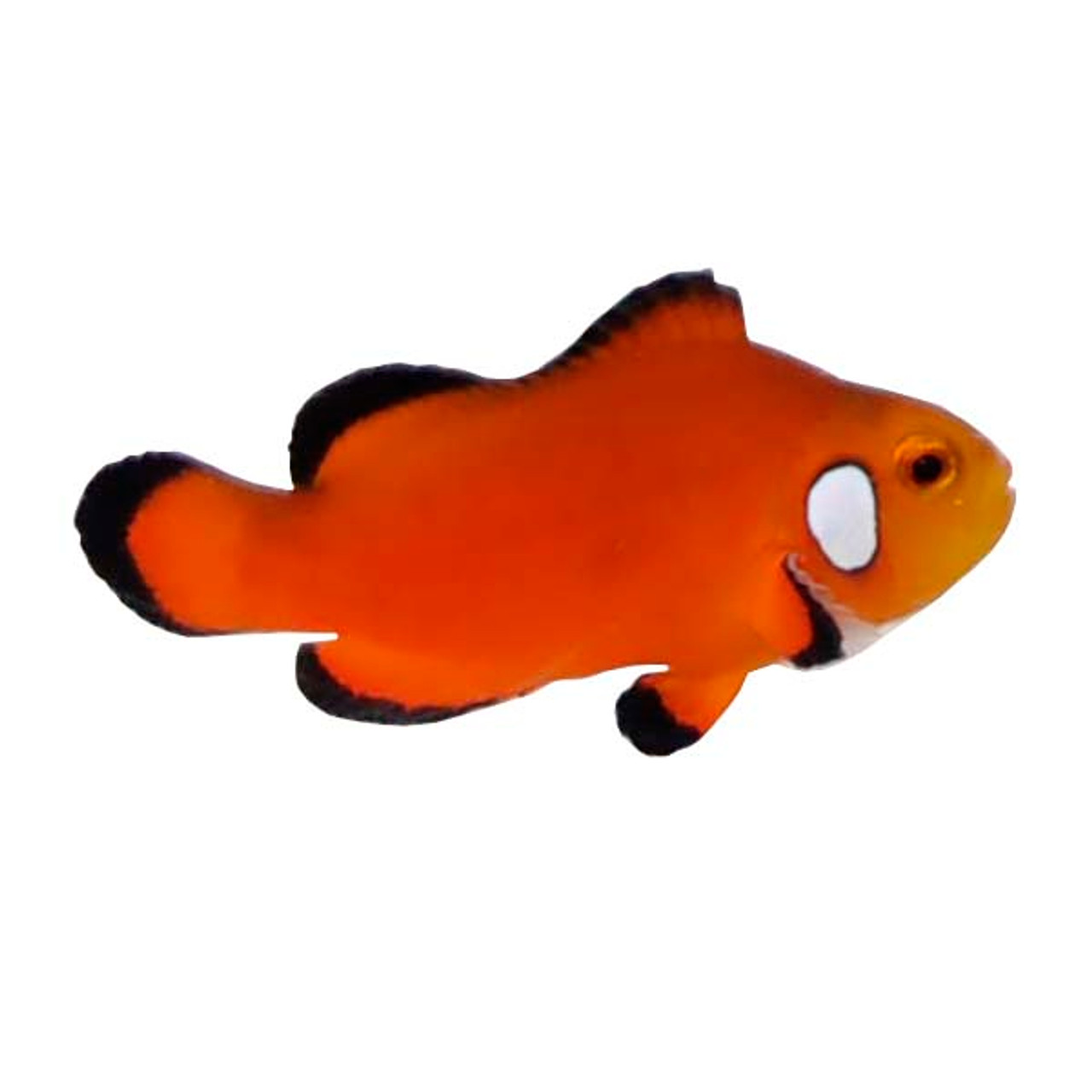 Flipper Aquarium Mat with Clownfish Art