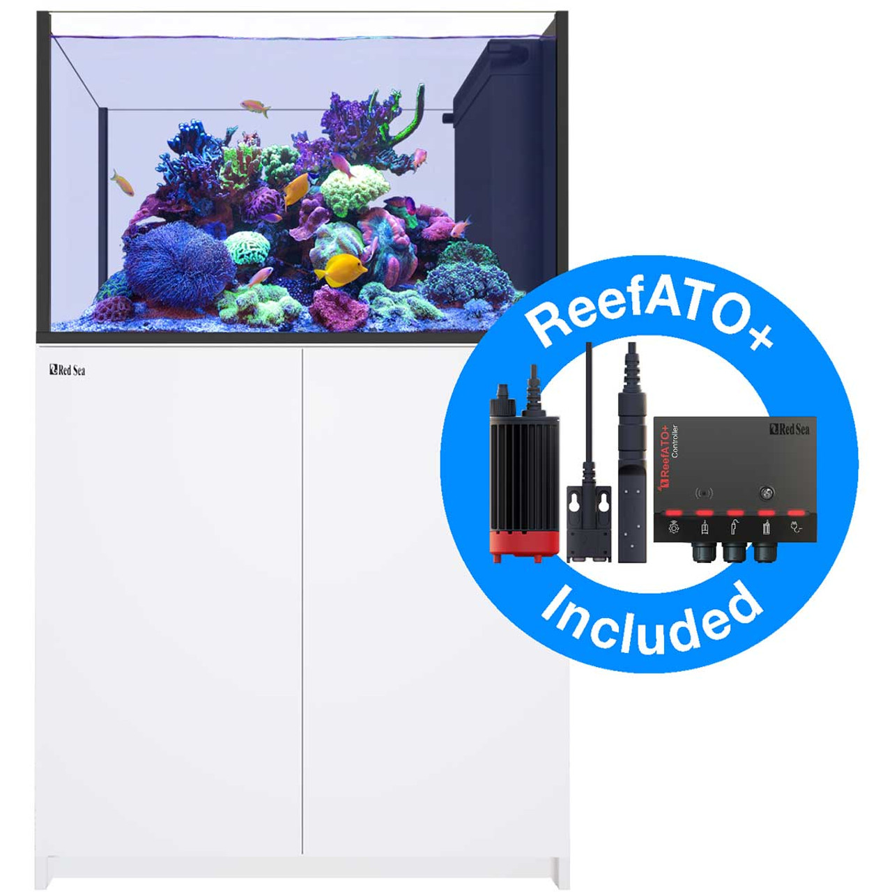 直売純正レッドシーReefer350(ホワイト)セット&生体、用品、エサ等 120cm～