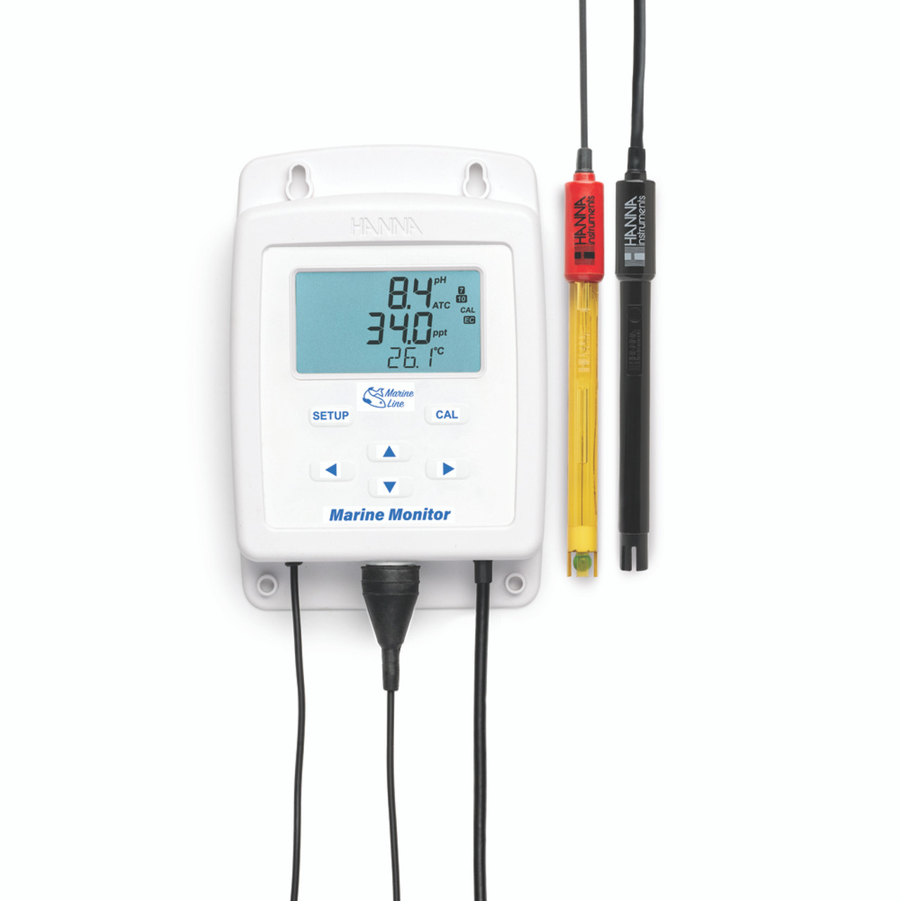 HI981520 Hanna Marine Monitor pH, Marine Salinity, Temperature - Hanna  Instruments