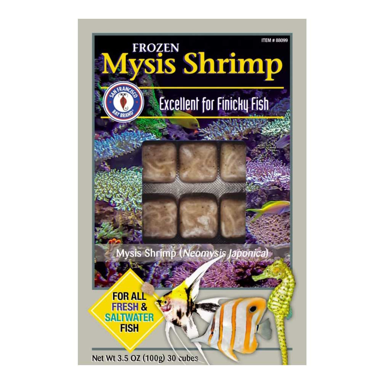 mysis shrimp food