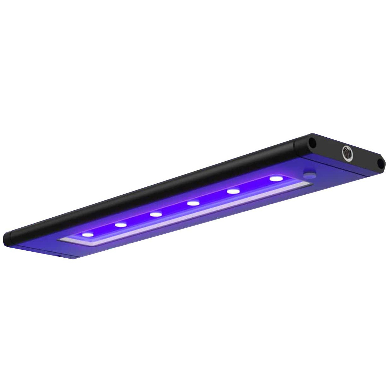 LEDs - Gallium Indium Nitride UV, violet, purple, blue, aqua