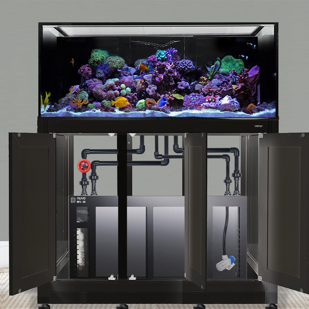 Submerse – Algorithms And Ghosts　美品 INT 170 Gallon Complete Reef System – Black (Made To Order