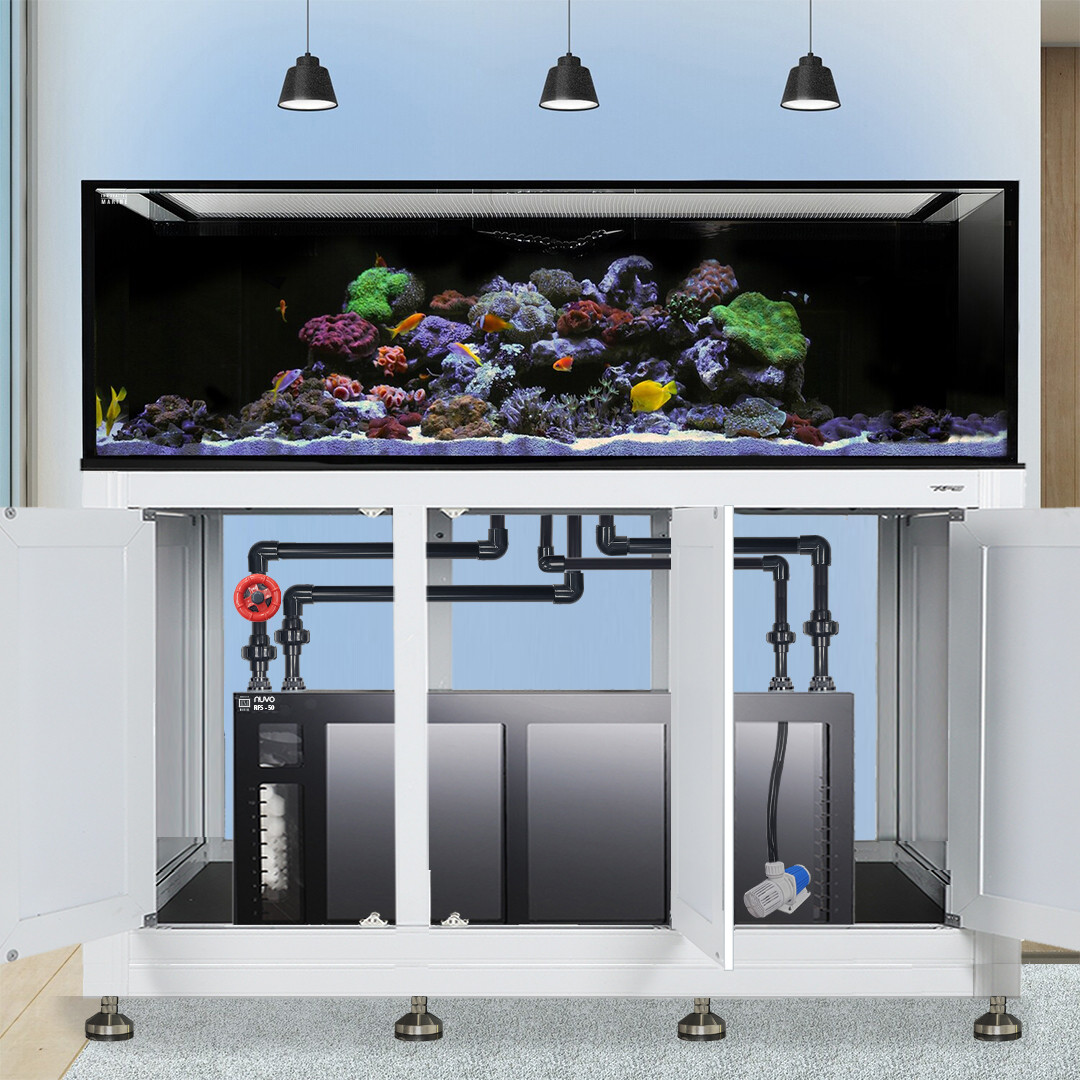 INT 200 Gallon Complete Reef System - White (Made To Order