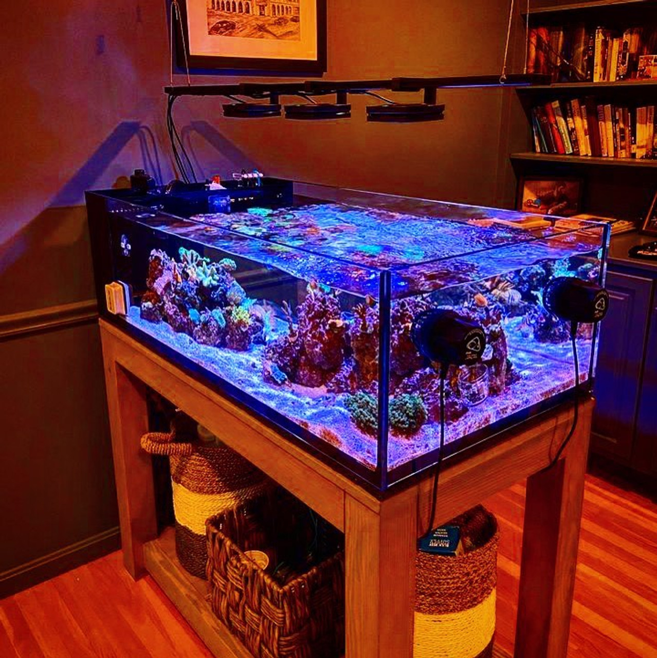 GlassCages Custom Aquarium Quote From - Glass Cages