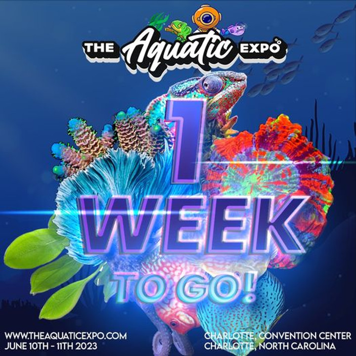 Aqua Expo Charlotte North Carolina June 10-11th