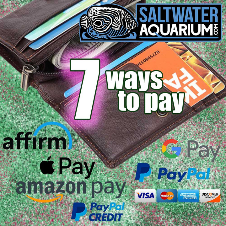 Seven Different Payment Options