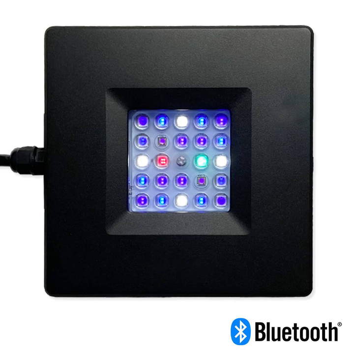 SaltwaterAquarium.com Takes Over Current USA Operations