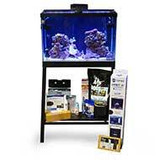 Budget Reef Tank