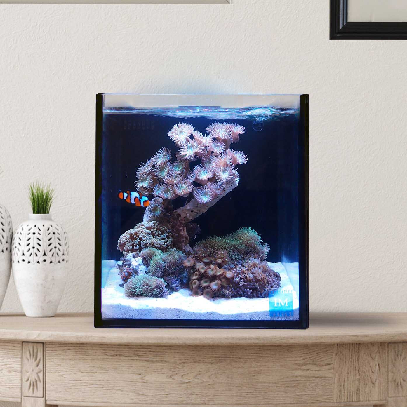 20 Gallon AIO Long Nuvo Fusion Aquarium Desktop (0315-P) - Innovative ...