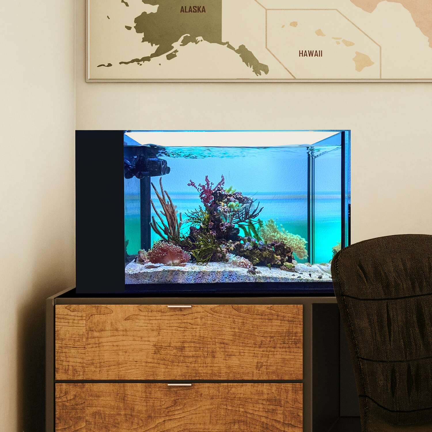 15 Gallon Fusion AIO (All in One) Cube Aquarium – Innovative Marine ...