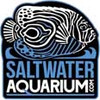 Saltwater Coral Farm