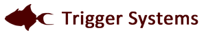 Trigger Systems