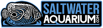 SaltwaterAquarium.com