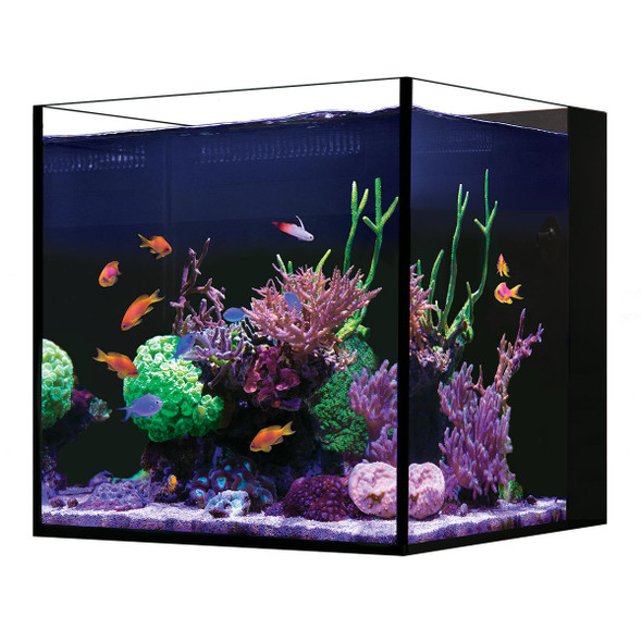 18.5 Gallon Desktop Cube Aquarium - Tank Only (17.7 x 17.7 x 16.5) - Red Sea
