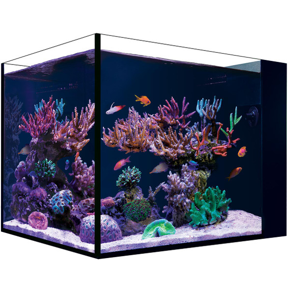 40 oz (Black) Micro Reef Ready Aquarium | Small Desktop Saltwater Fish Tank  with LED Light, Sump, Pump | Freshwater & Saltwater