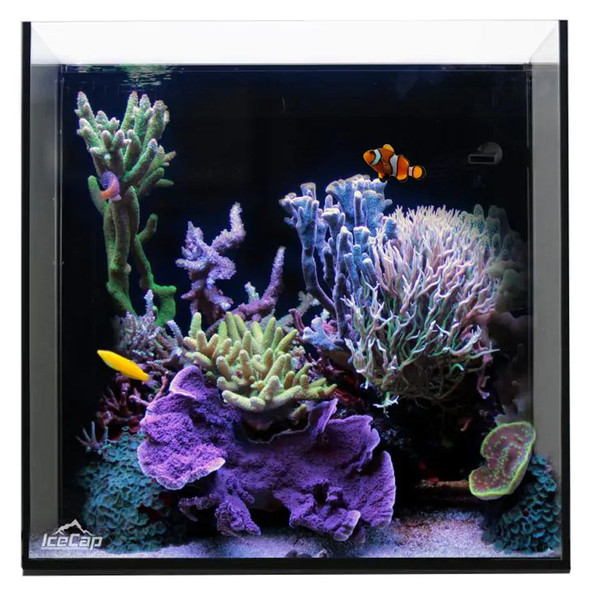 10 Gallon Cube AIO Rimless Glass Aquarium - IceCap