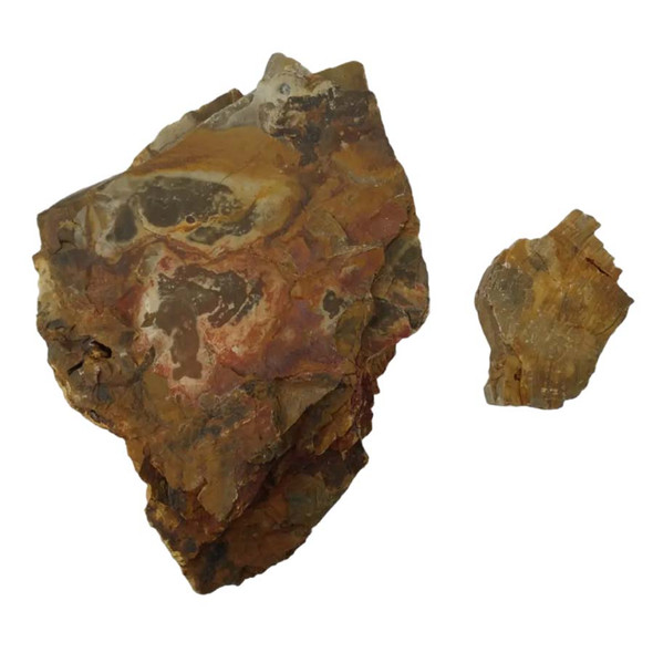 Petrified Wood Stone (44 lbs) Freshwater Rock - IceCap