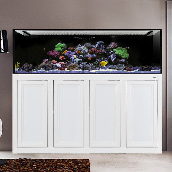 INT 240 Gallon Aquarium w/ APS Stand - White (Made to Order) - Innovative Marine