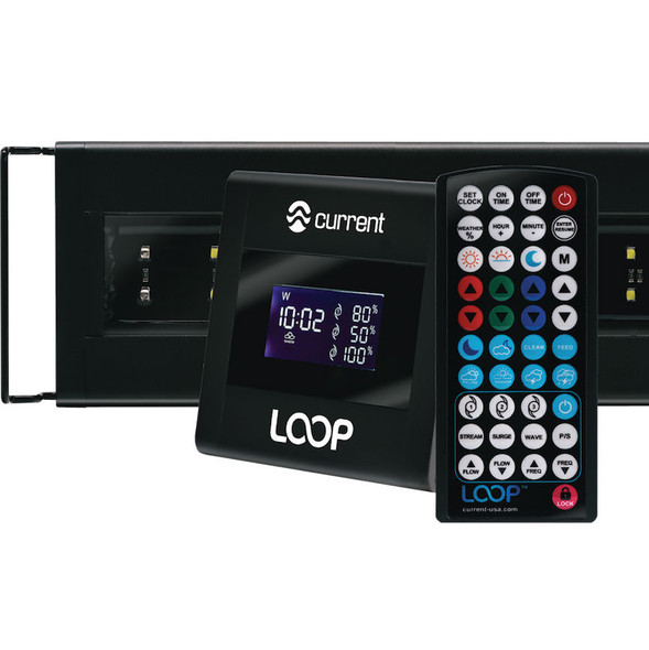 EcoSmart ORBIT LED電球　AZURE 60-Watt CEC STAR ENERGY Dimmable G16.5 Equivalent 蛍光灯・電球