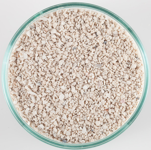 (OPEN BOX) Arag-Alive Special Grade Reef Sand (20 lb) 1.0 - 2.0 mm - Caribsea