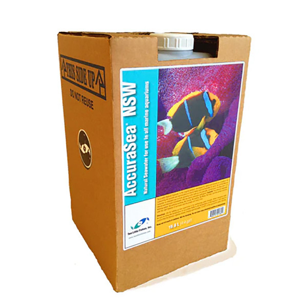 AccuraSea Natural Seawater 4.4 Gallon Premade Perfect Saltwater - Two Little Fishies