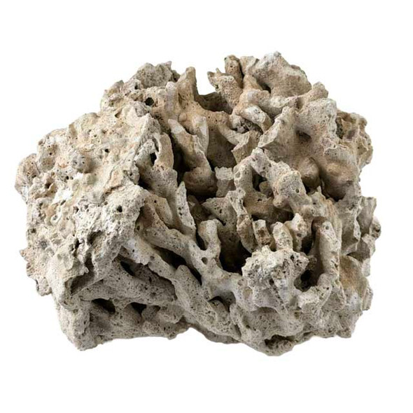Genuine Fiji Pukani Dry Live Rock (40 lb Box) - Marco Rocks