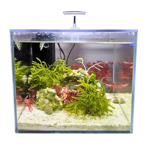 (OPEN BOX) Mini Pond - 4 Gallon Desktop Aquarium - PNW Custom