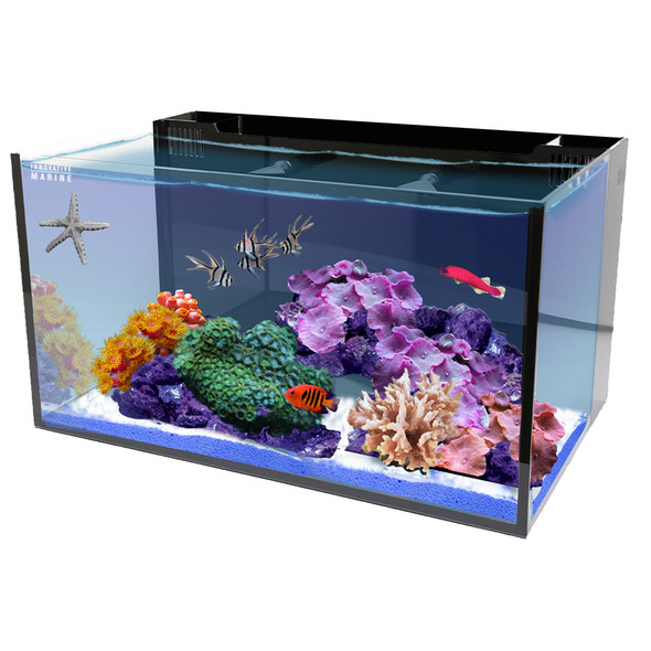 (OPEN BOX) 20 Gallon AIO Long Nuvo Fusion Aquarium Desktop (0315-P) - Innovative Marine