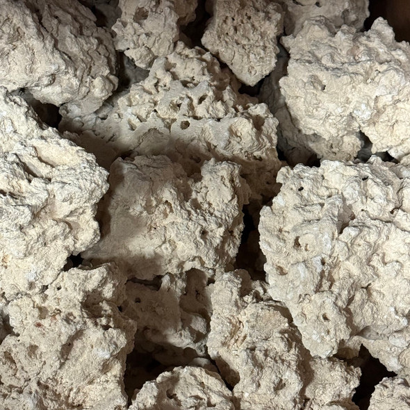 SaltwaterAquarium Products - SaltwaterAquarium.com