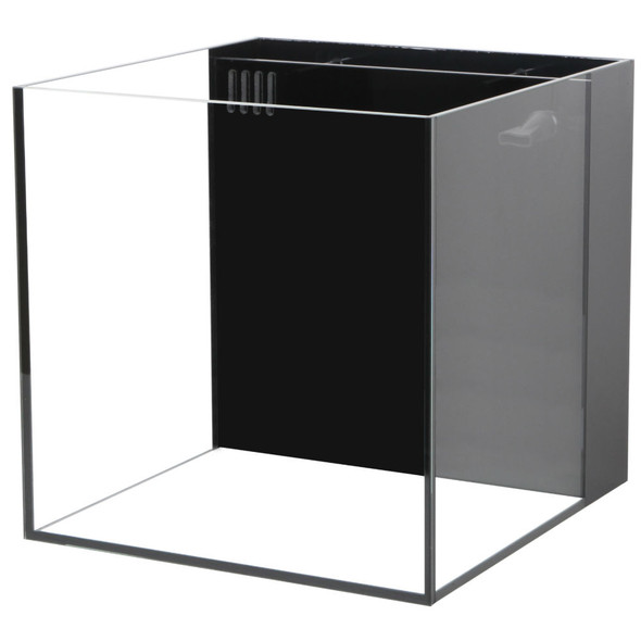 Glass Square Display Box - 20