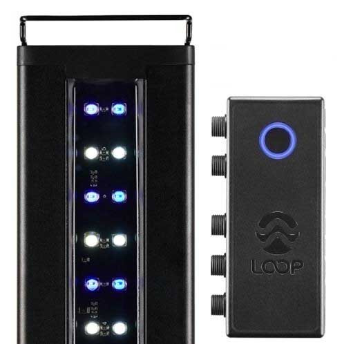 LED電球　AZURE ORBIT Orbit Marine 72