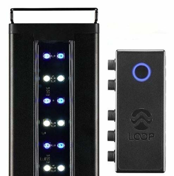 LED電球　AZURE ORBIT AZURE ORBIT | Well Lit ONLINE STORE | ウェルリット日本公式