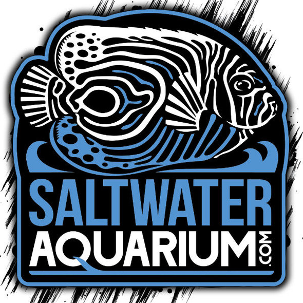 6" Large SaltwaterAquarium.com Logo Sticker on Clear - SAQ.com