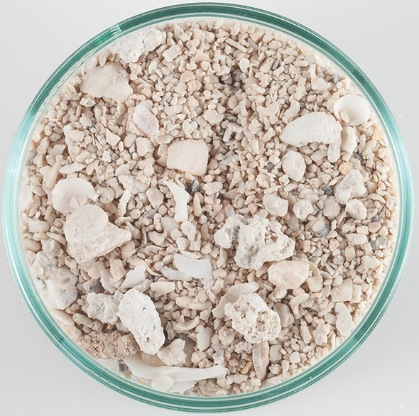 Seaflor Special Grade Dry Aragonite Reef Sand (15 lb) 1.0 - 2.0 mm - Caribsea