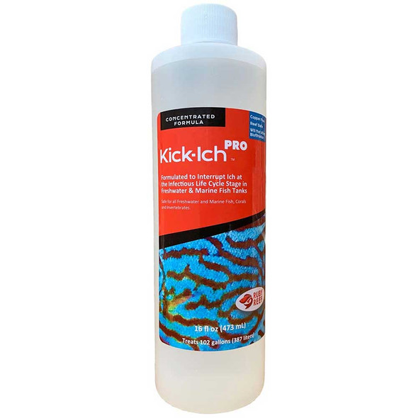 Kick Ich PRO (16 oz) - Ruby Reef 