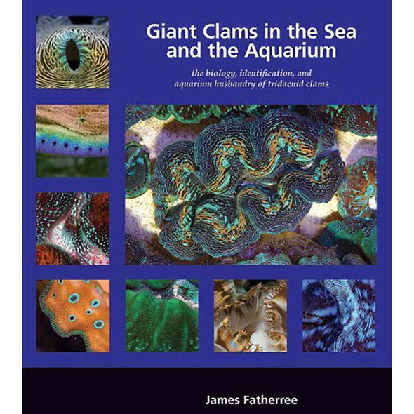 Giant Clams in the Sea and the Aquarium Book by James W. Fatherree