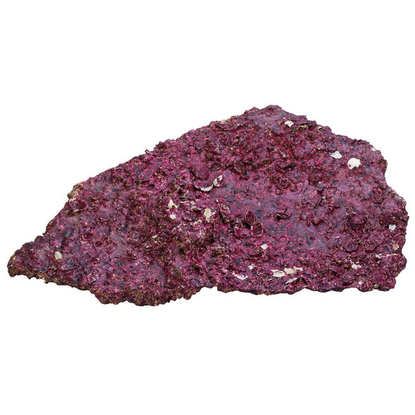 Real Reef Rock BRANCHING (Marine & African Cichlids ONLY) - per 100g  (minimum order of 1kg)